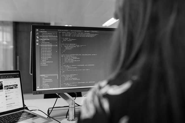 IT-Freelancer und IT-Projekte – SOFTWARE ENGINEERING GmbH